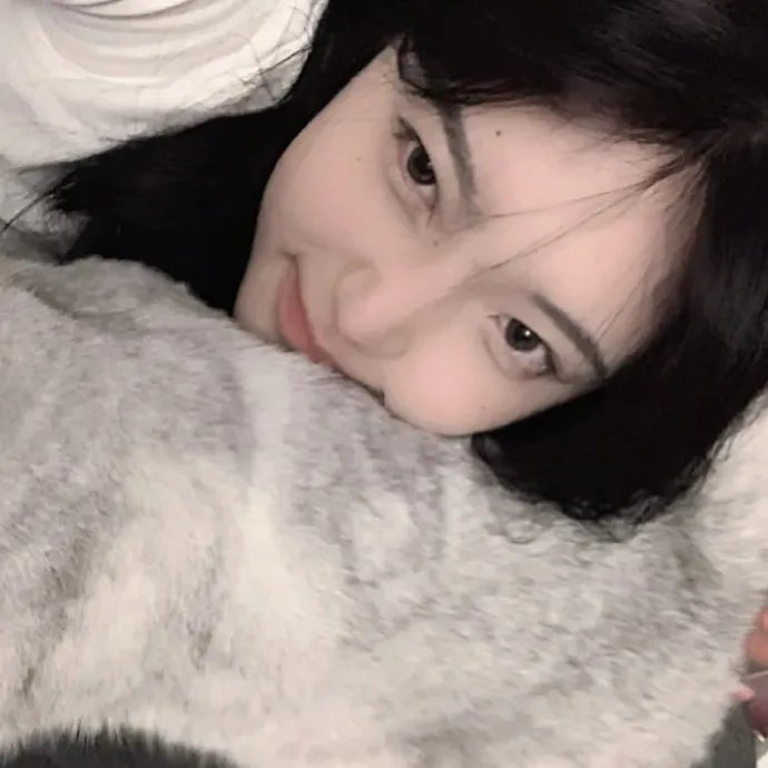 火鸟的沼泽